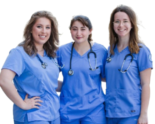 Expert_Nursing_Assignment_writer